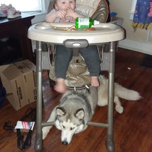 Meet your Posher, Dustin